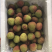灵山妃子笑荔枝（4.8斤净果）现货发送