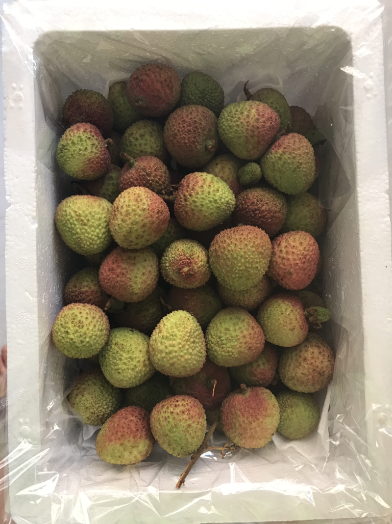 灵山妃子笑荔枝（4.8斤净果）现货发送
