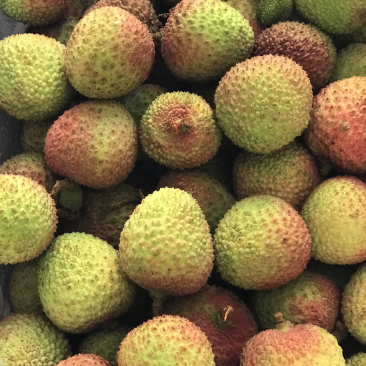 灵山妃子笑荔枝（4.8斤净果）现货发送