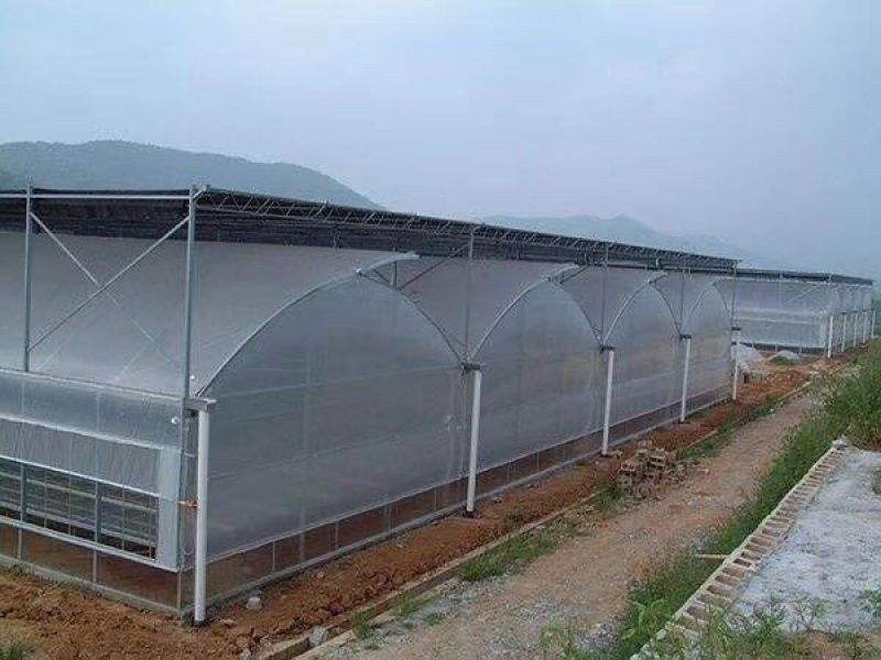 大棚骨架蔬菜养殖温室大棚全套含薄膜卷膜热镀锌