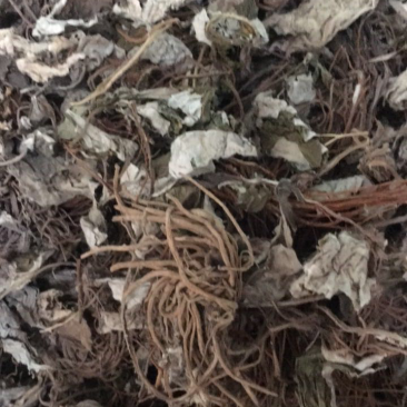 白眉草