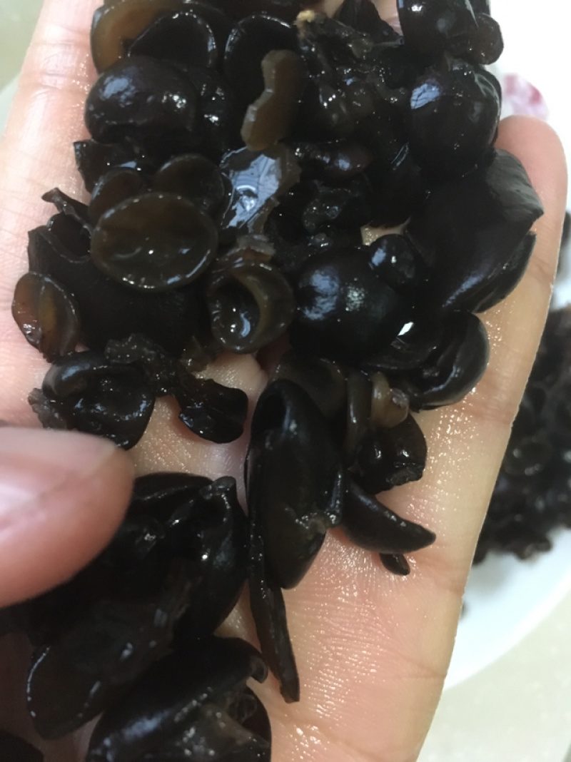 秋木耳0.5cm干木耳特小木耳包包子饺子