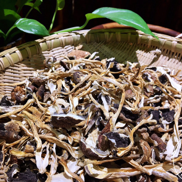 牛肝菌（又名大脚菌）