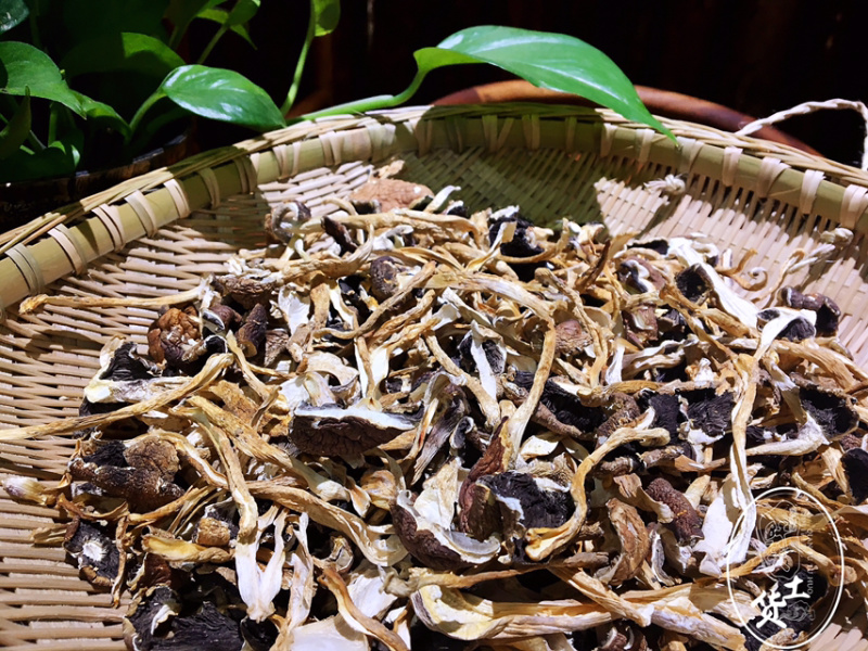 牛肝菌（又名大脚菌）