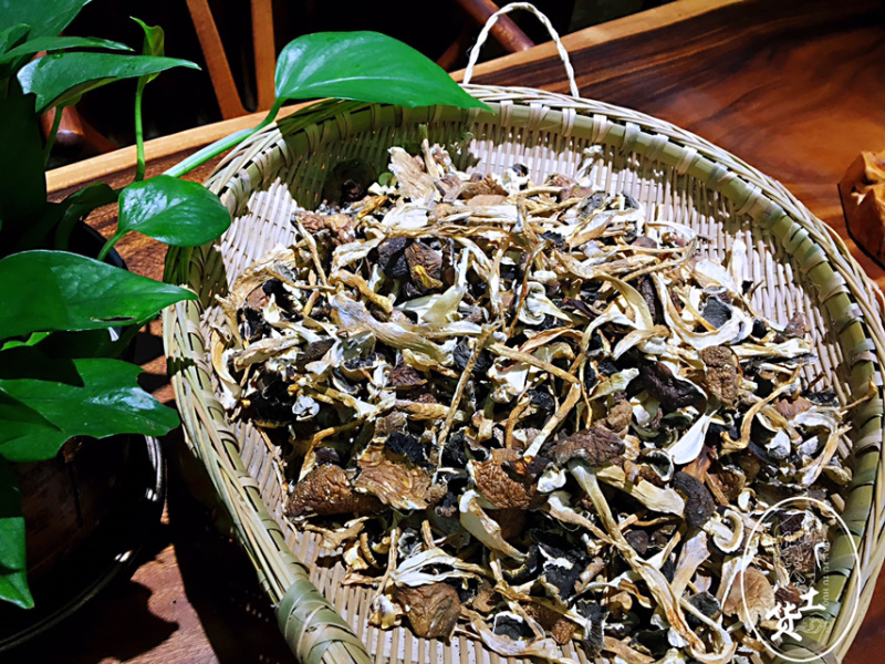 牛肝菌（又名大脚菌）