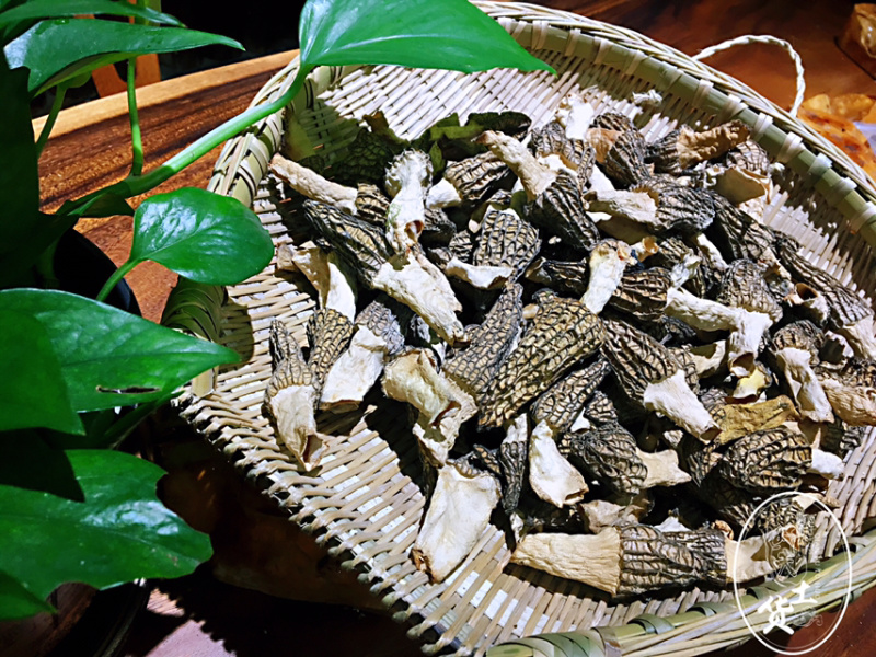 羊肚菌
