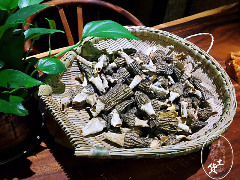 羊肚菌