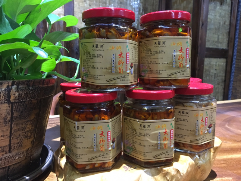 油闷牛肝菌