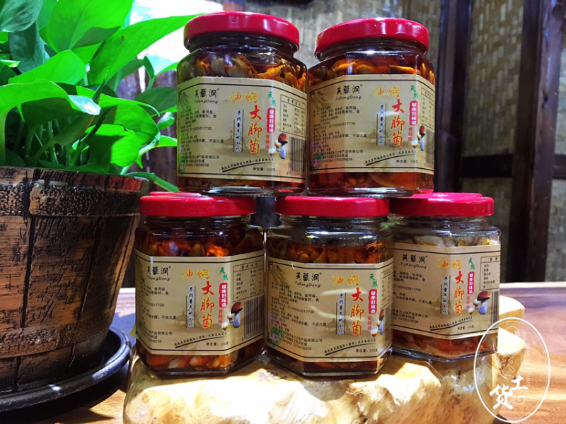 油闷牛肝菌