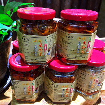 油闷牛肝菌