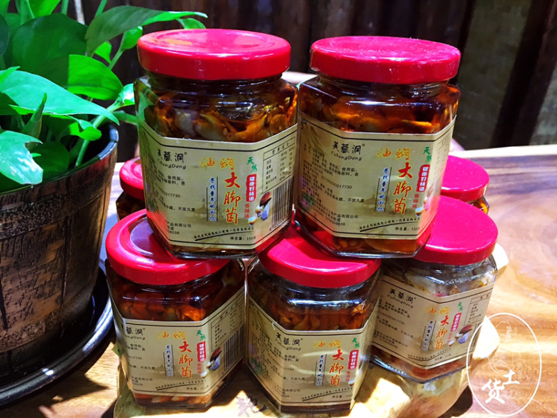 油闷牛肝菌