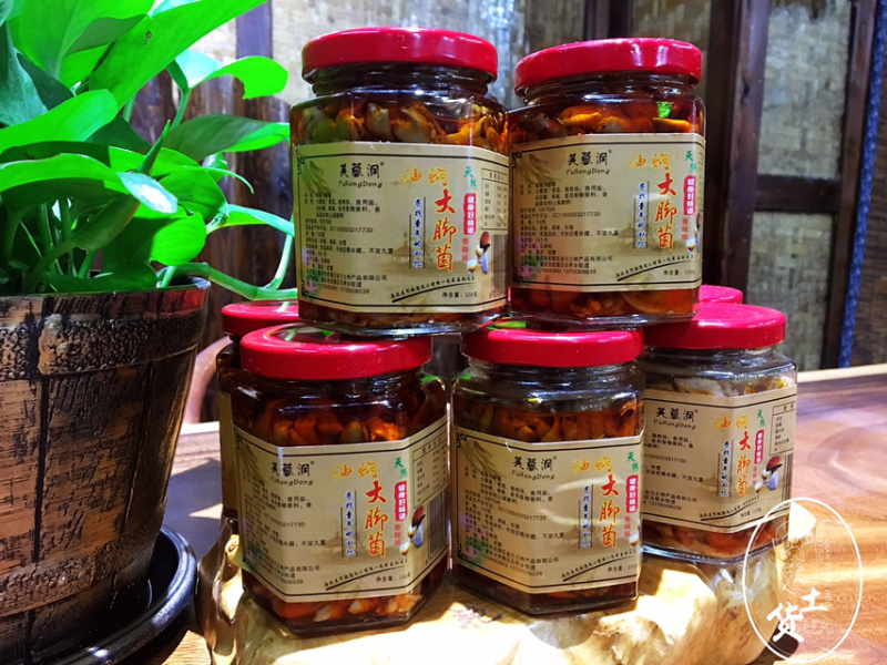 油闷牛肝菌