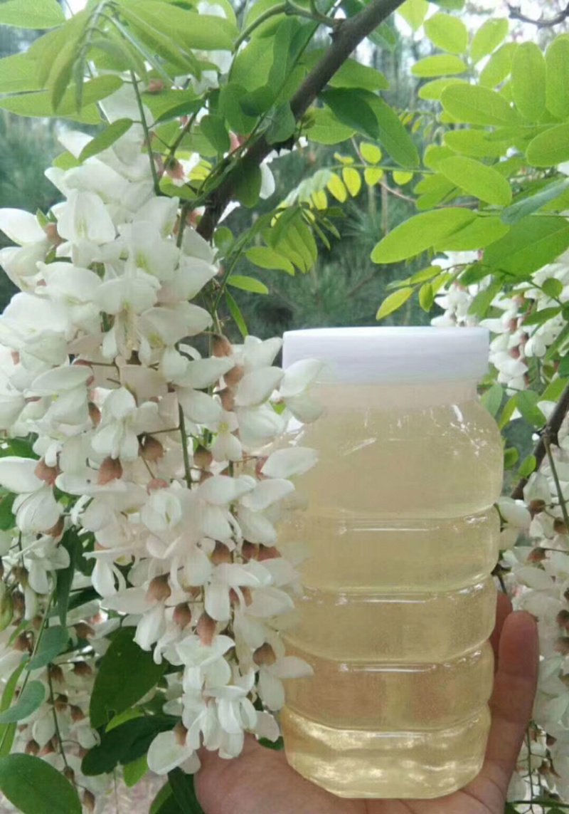 原汁原味正宗槐花蜂蜜
