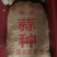 四川大蒜种蒜苔种苗蒜种红根蒜苗种葱种（源头好货）