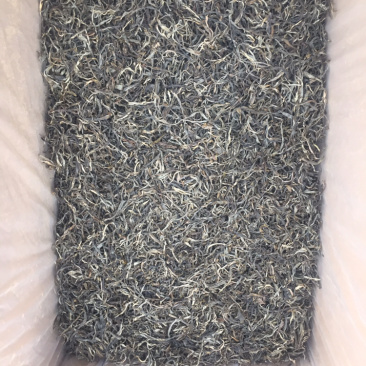 高山普洱生态茶