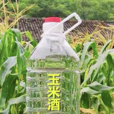 自酿玉米酒。