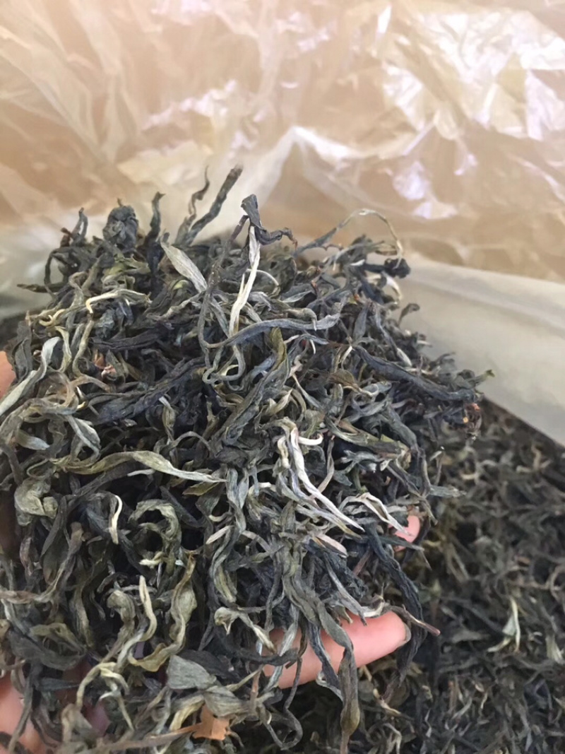 景迈山大树茶