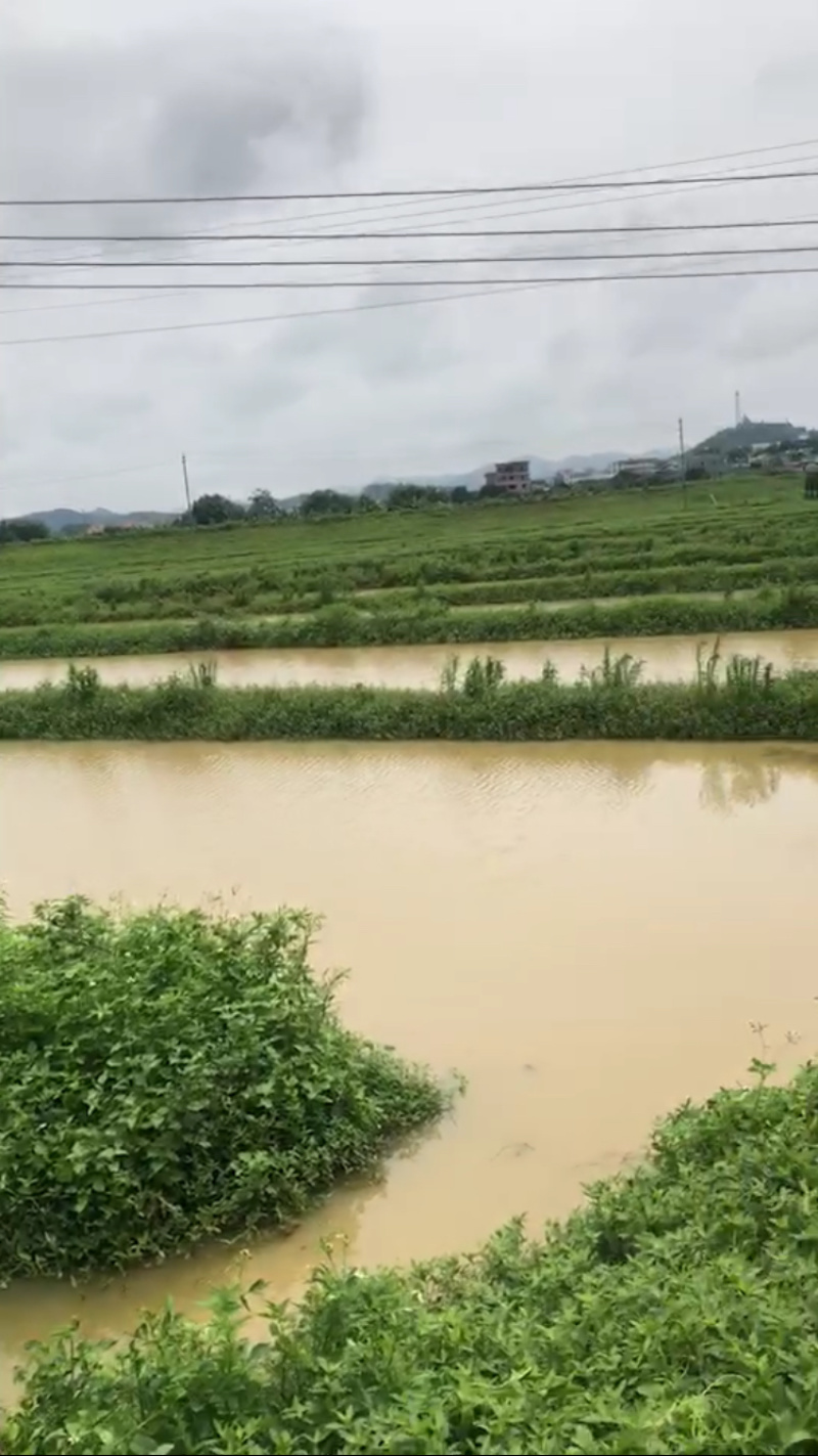 广州从化百亩养殖场
