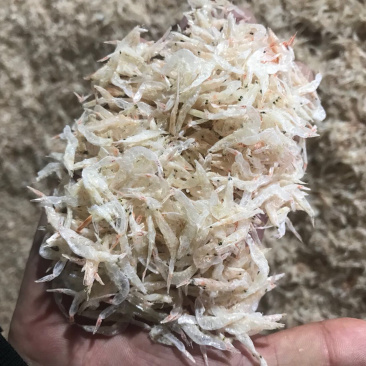 出售虾皮