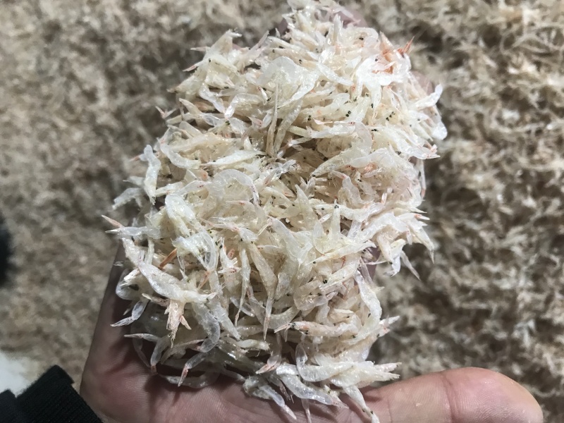 出售虾皮