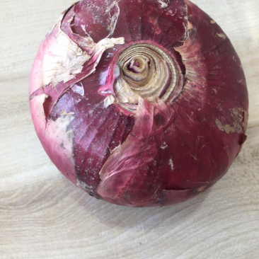 洋葱