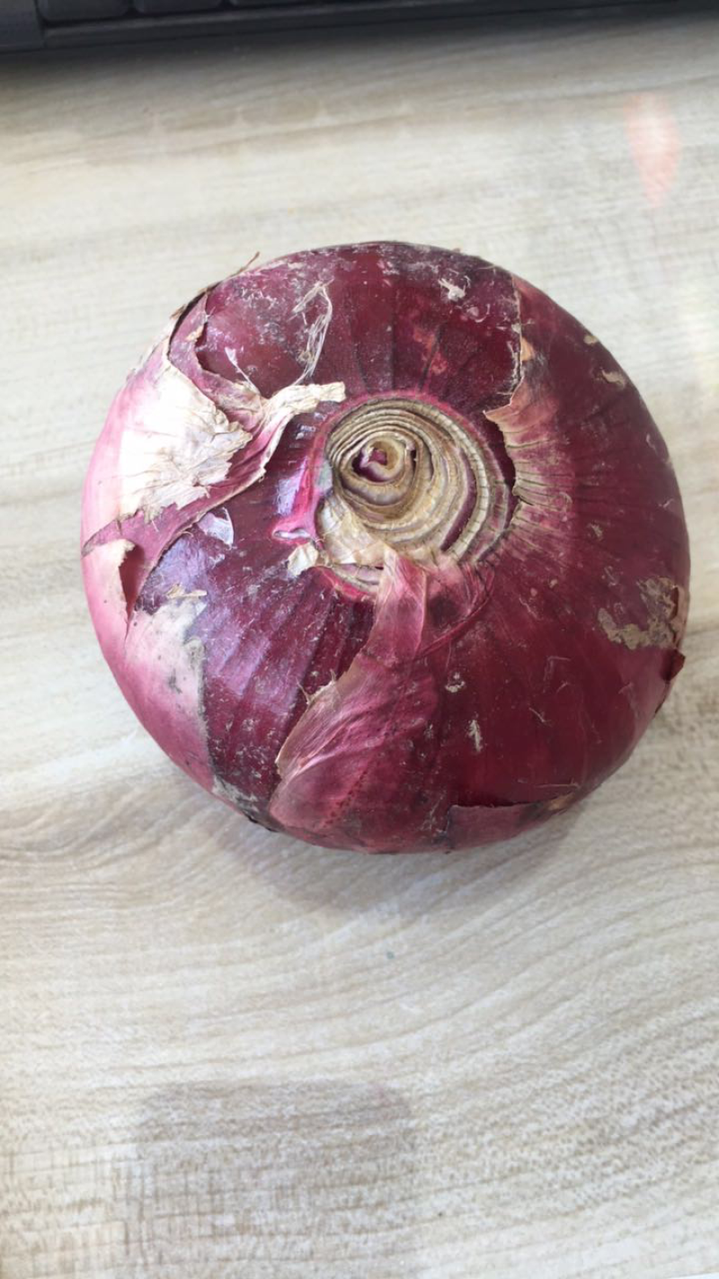 洋葱