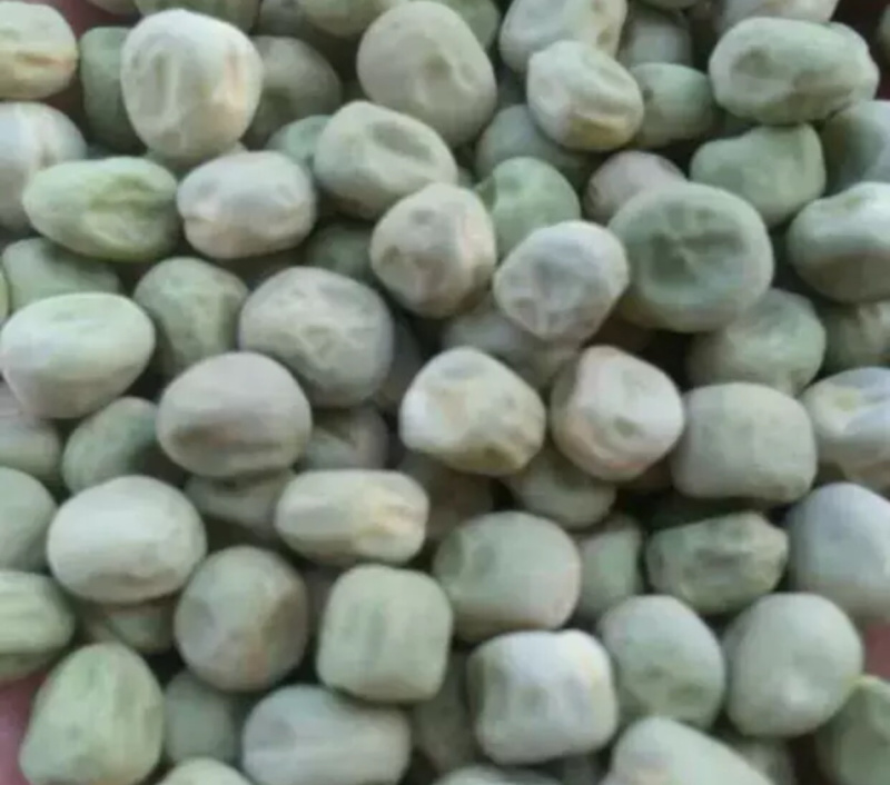 豌豆