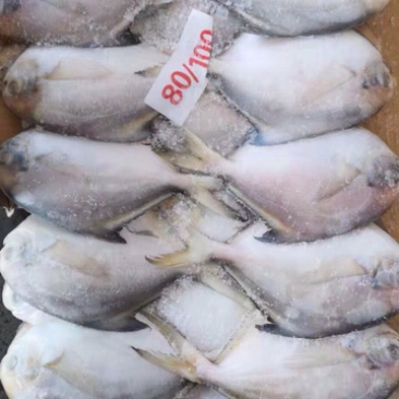 摆盘小白鲳