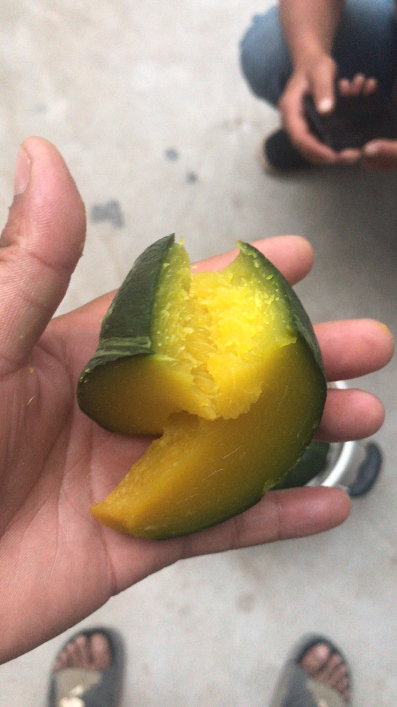 板栗南瓜，贝贝，银栗，全国产地直销供应需要联系