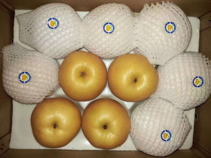 库存丰水梨