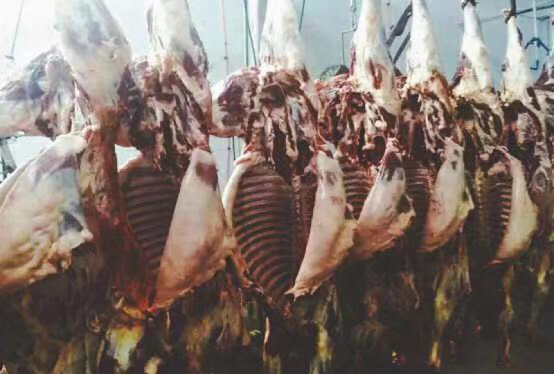 生鲜驴肉