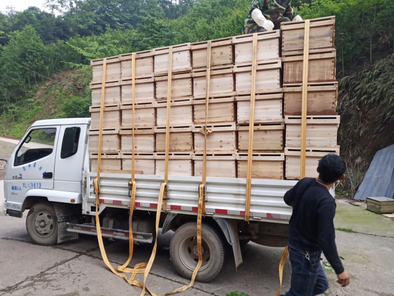 蜂箱平箱85一套成都地区满100包送