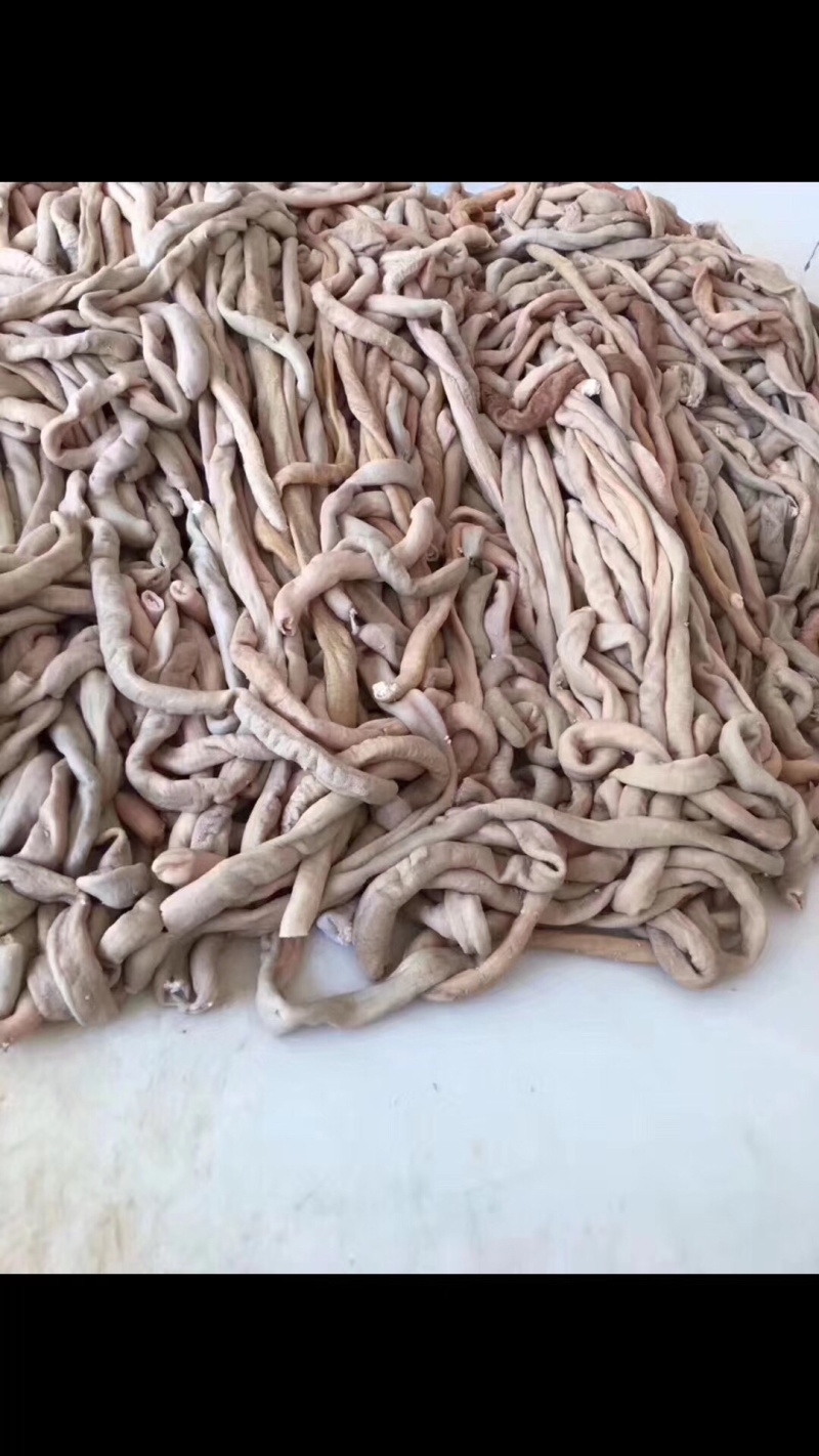 牛大小肠，散带，碗口
