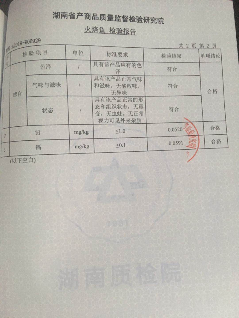火焙鱼我们是认真的