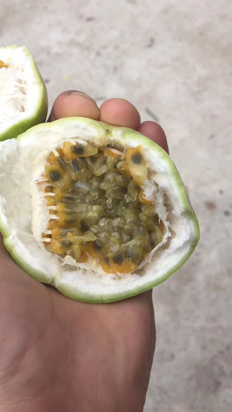 海南黄金百香果到货