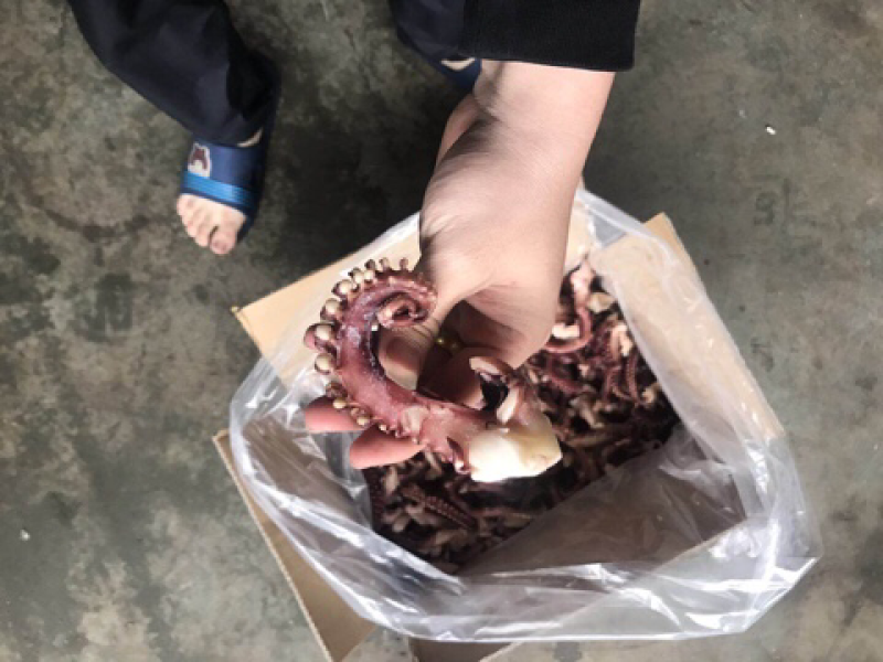 脆口章鱼须