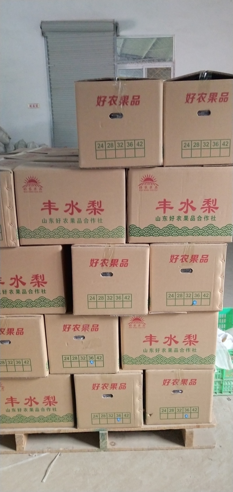 山东冠县万亩梨园一级丰水梨产地