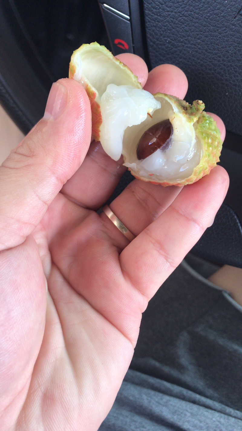 妃子笑荔枝，白糖罂荔枝，