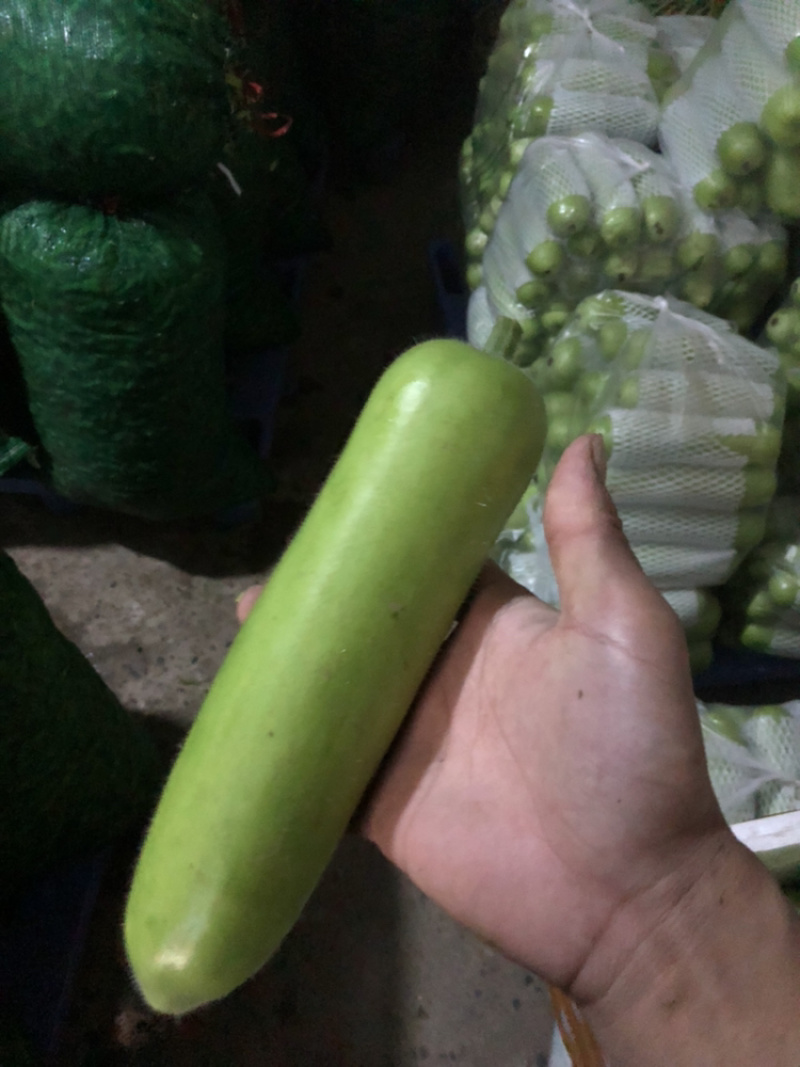 瓠瓜