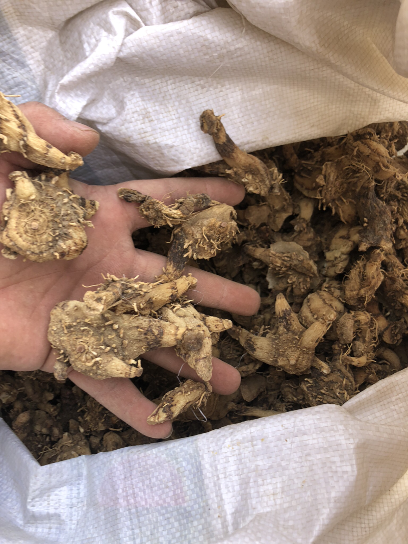 干白芨，个子，统货，选货