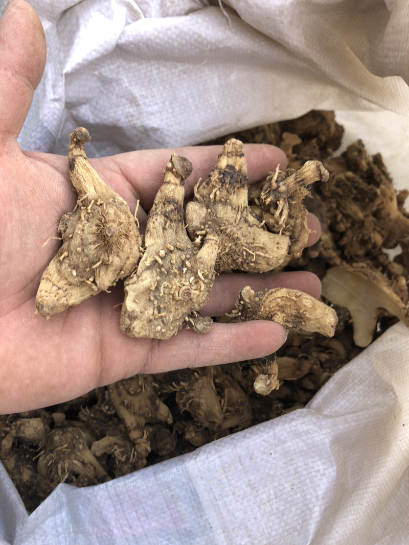 干白芨，个子，统货，选货
