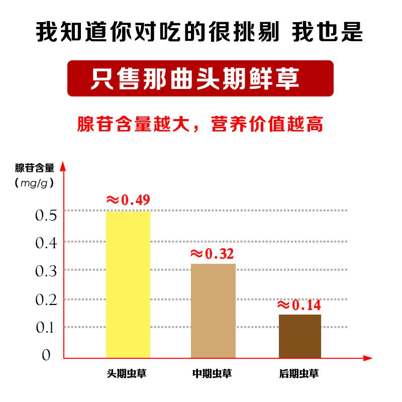 干虫草