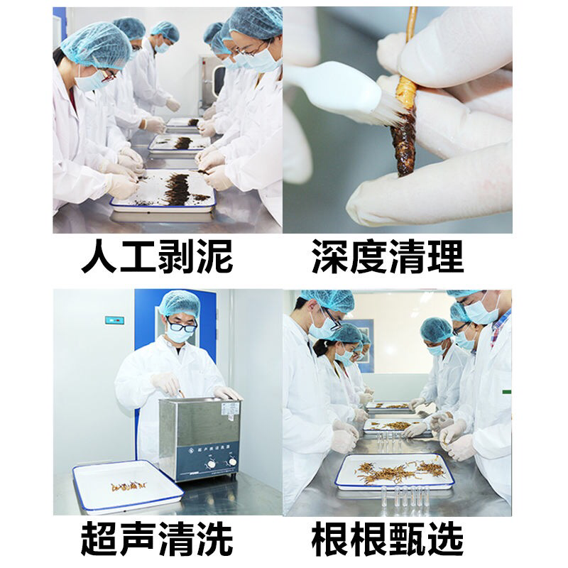 干虫草