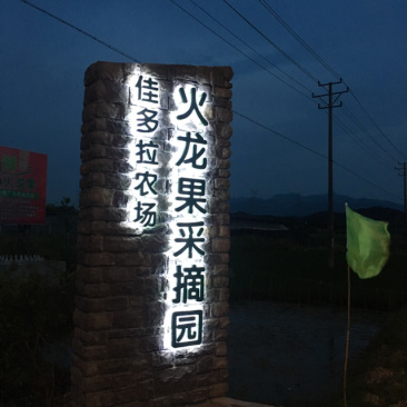红心火龙果