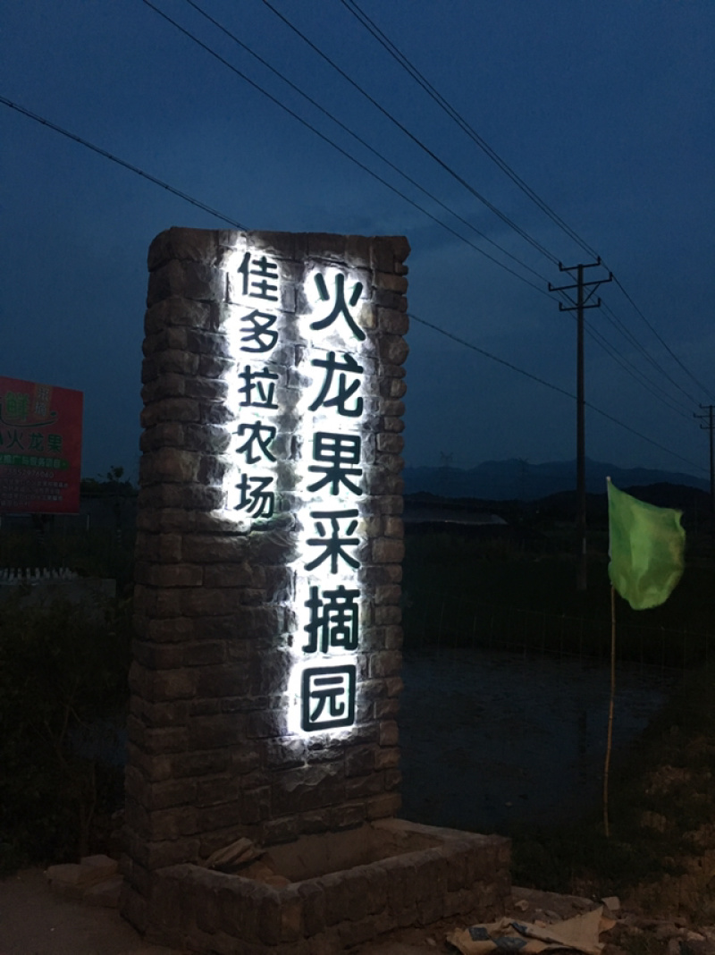 红心火龙果