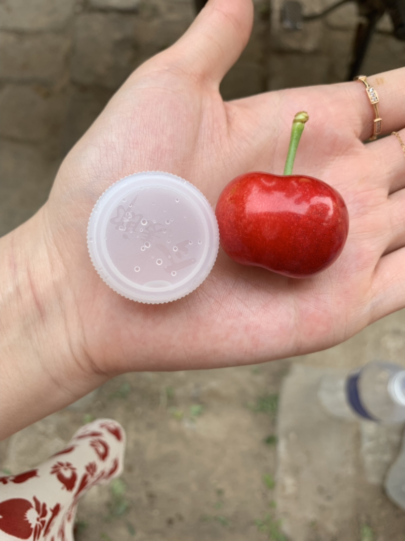 水果樱桃
