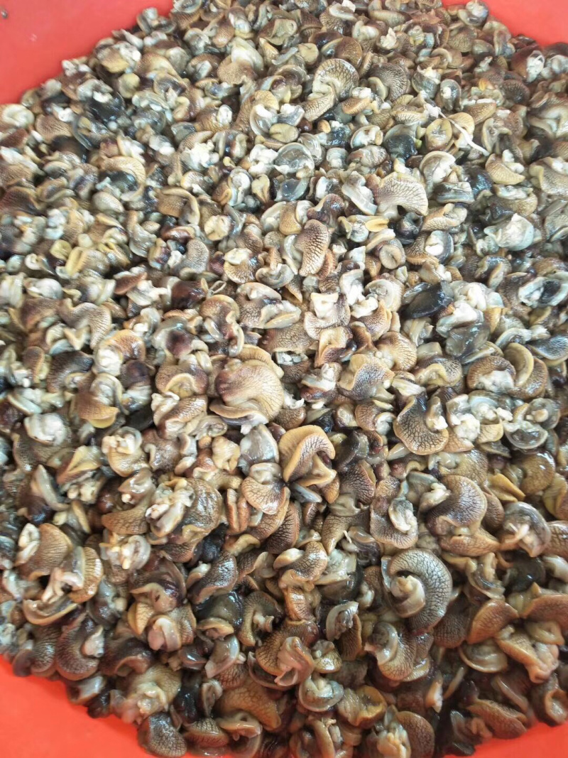 天然绿色褐云玛瑙蜗牛肉