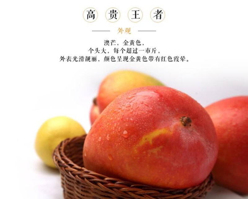 澳芒