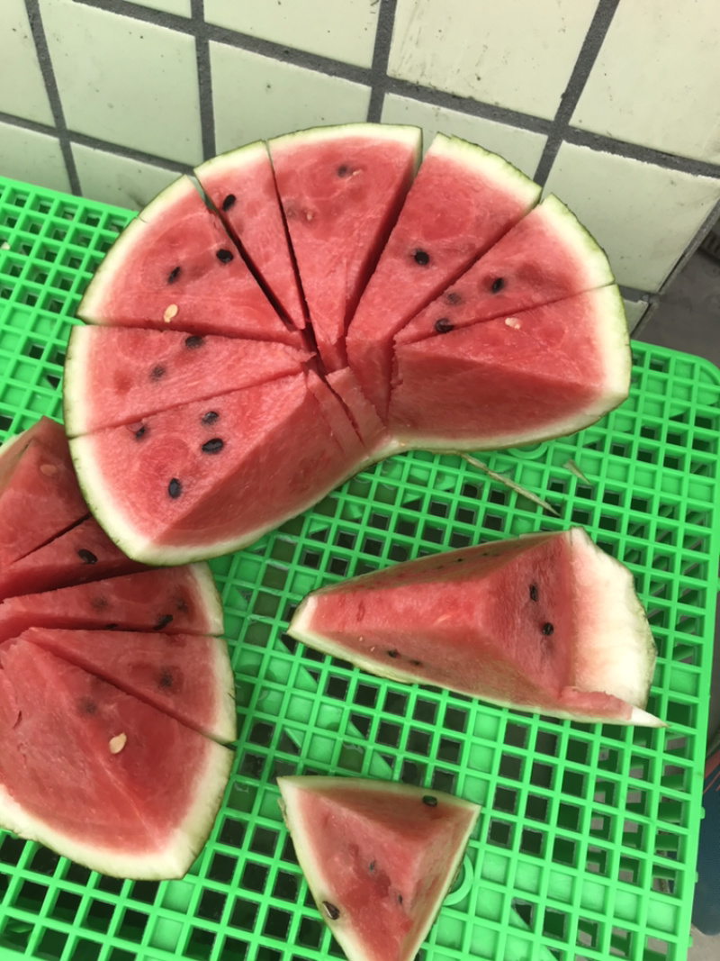 精品美都，精品8424西瓜