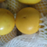 进口黄晶果苗黄金果苗雅美果加蜜蛋黄果苗品种纯正保证